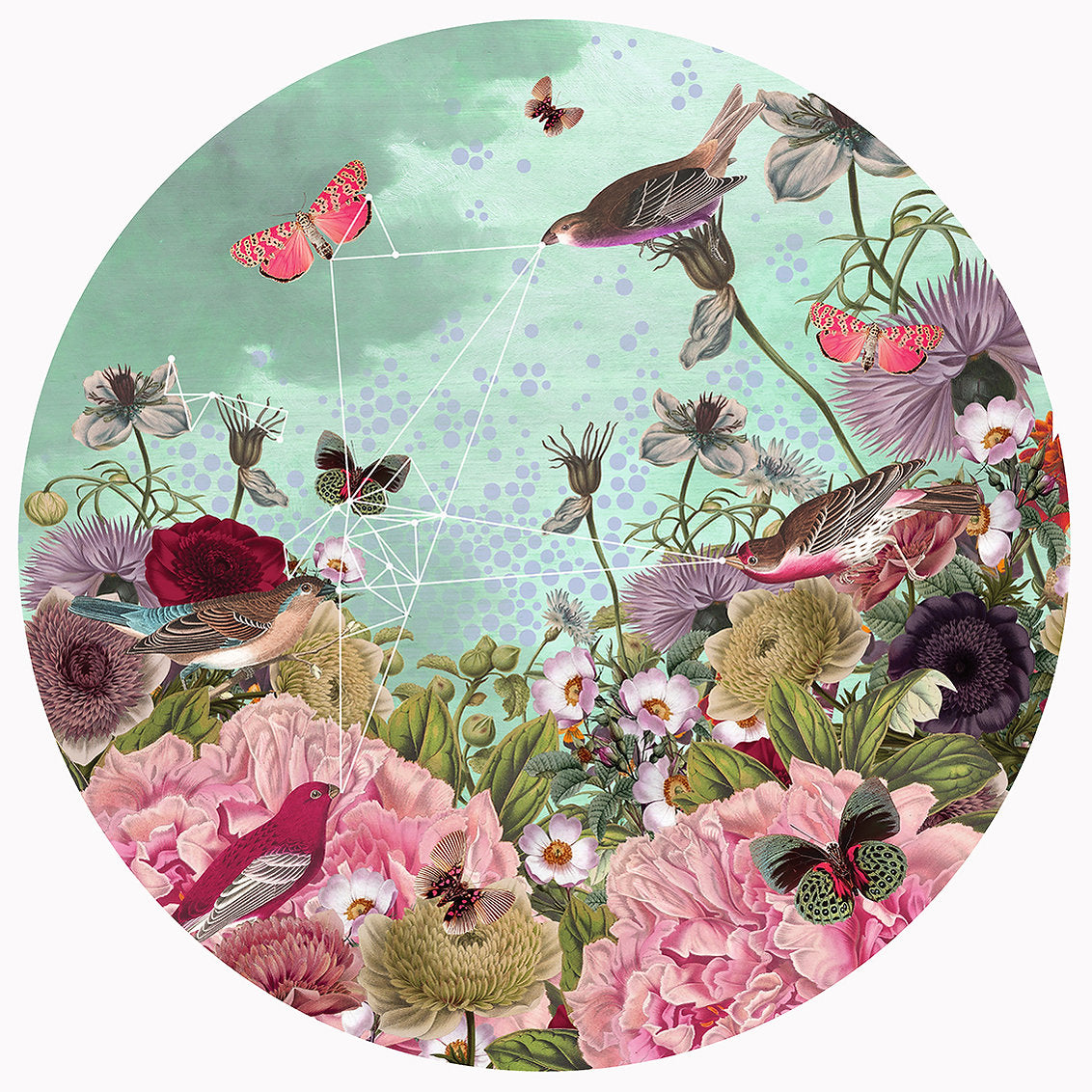 Bird Song