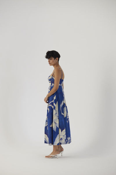 CHICORY BRALLETTE DRESS