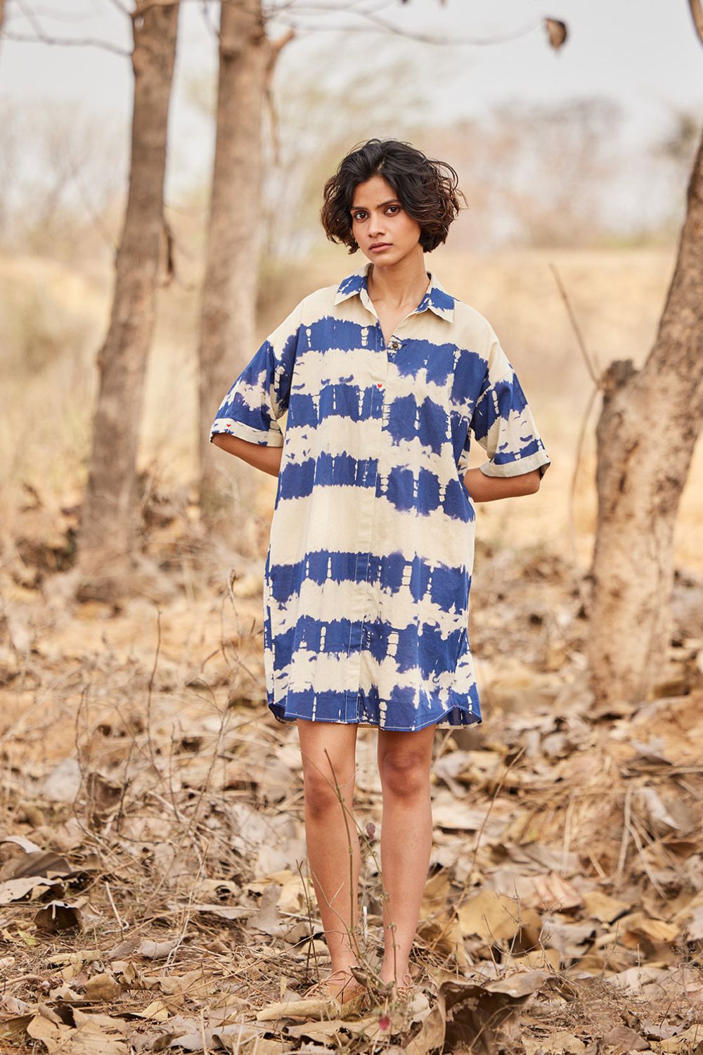 Barish shirt dress