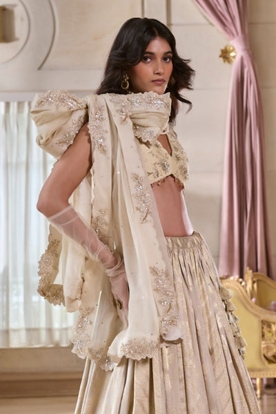 PH-2756 ARUNA LEHENGA SET