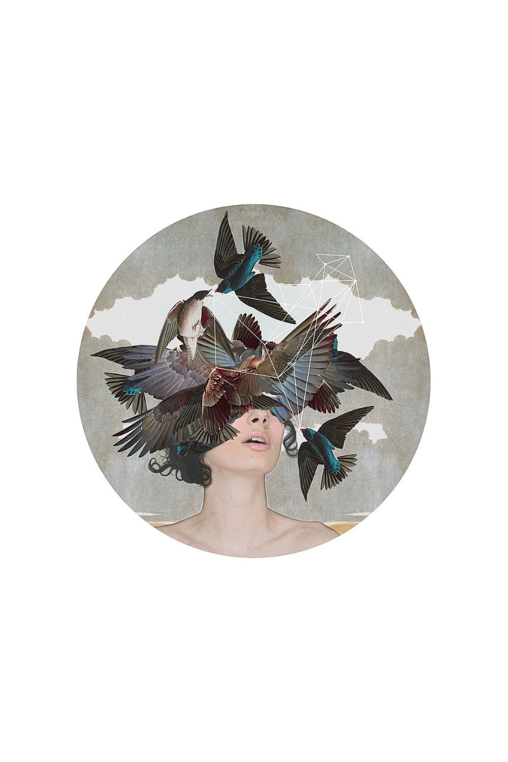 Swallow Blind