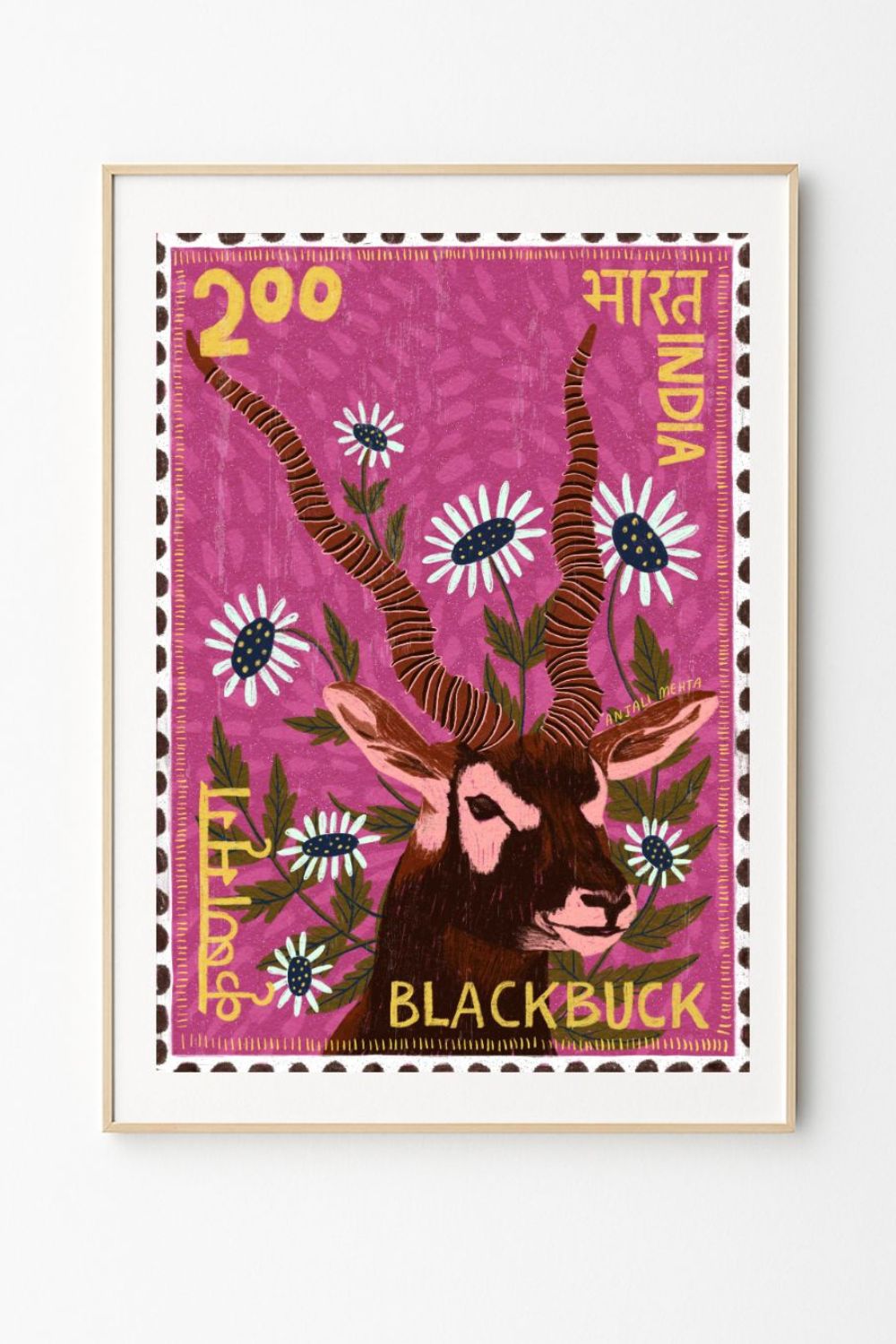 Blackbuck