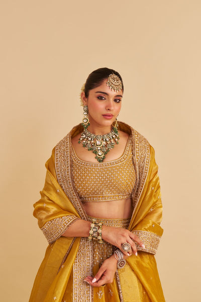 Aashina  - Dabka Zardozi Embroidered Pure Tissue Mustard Lehenga Set