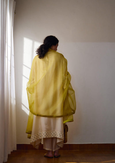 Bluebell oraganza tara dupatta