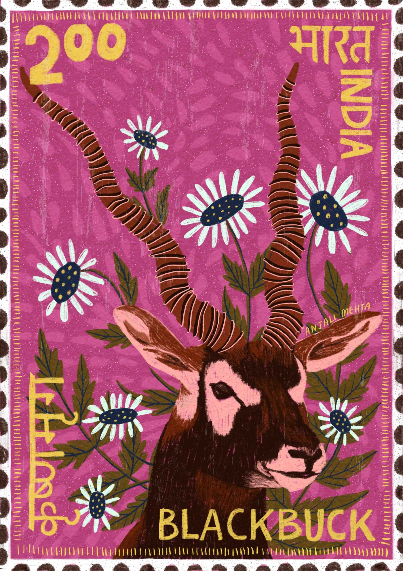 Blackbuck