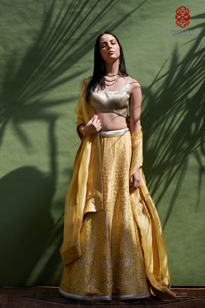 Mehak silk georgette lehenga-butter yellow