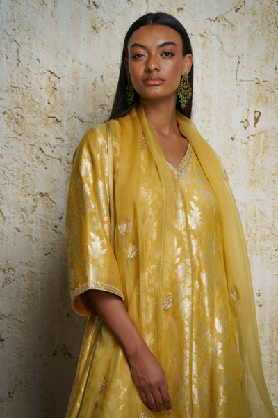 Amrasi munga silk kalidar tunic