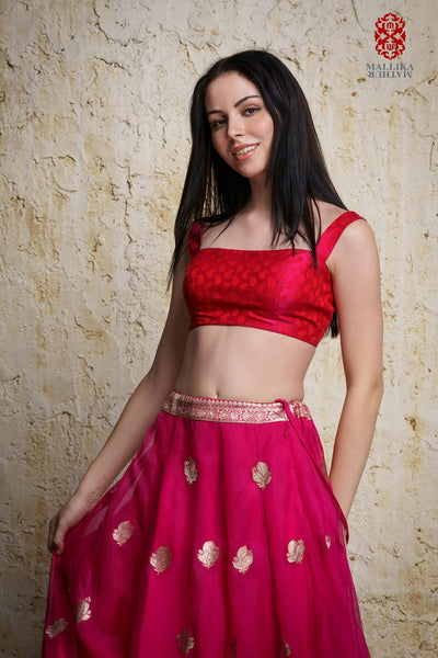 Kora silk skirt appliquéd in antique silver zari motifs