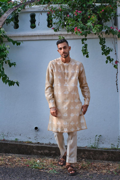 Akhrot Kurta+Nehru jacket shirt