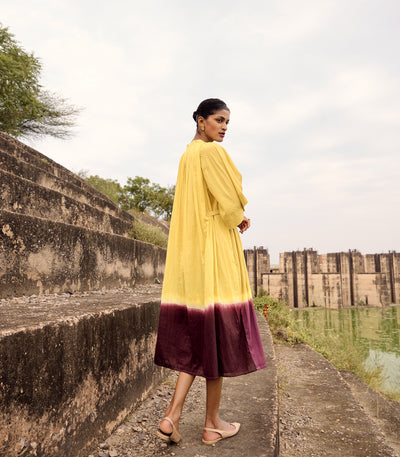 Honeycreeper dress
