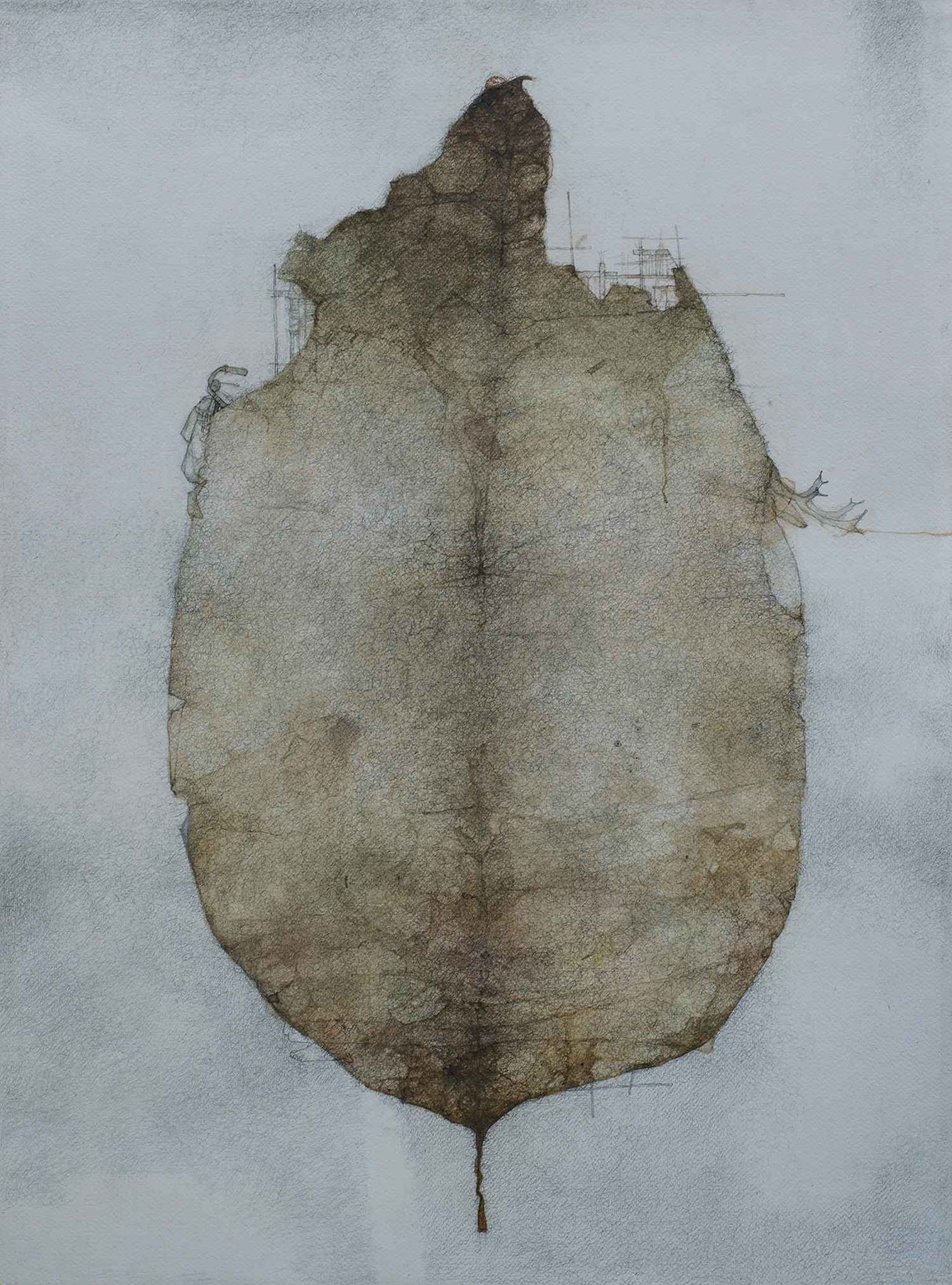 Untitled-PB009