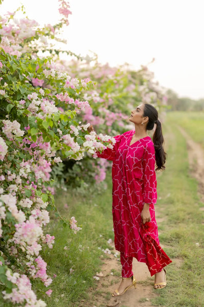 JAALI V2 KURTA SET-PINK