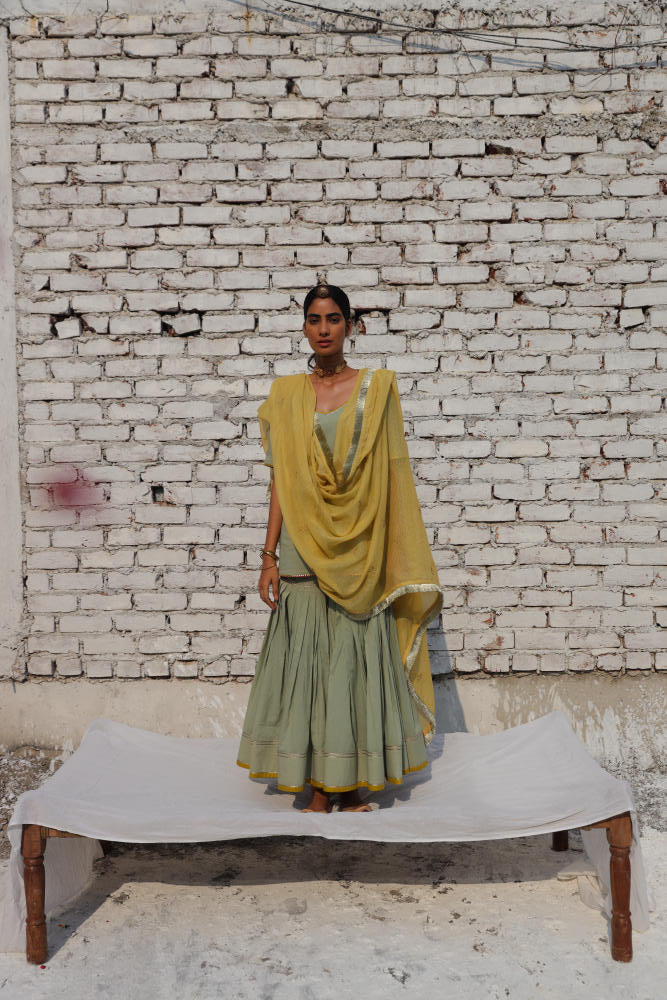 Kashish sharara set