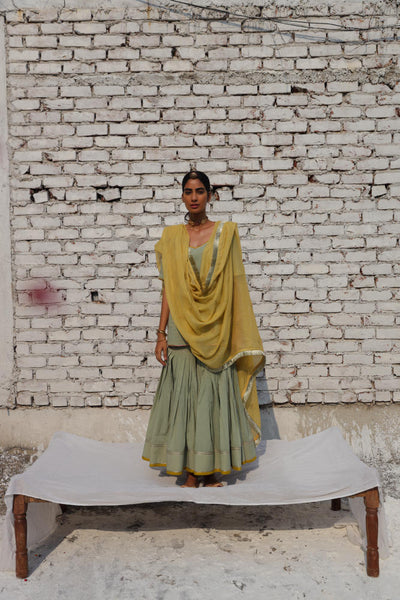 Kashish sharara set