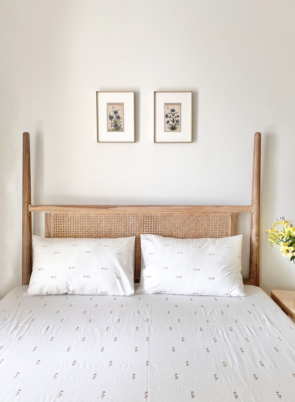Bela Bedsheet With Pillow Covers