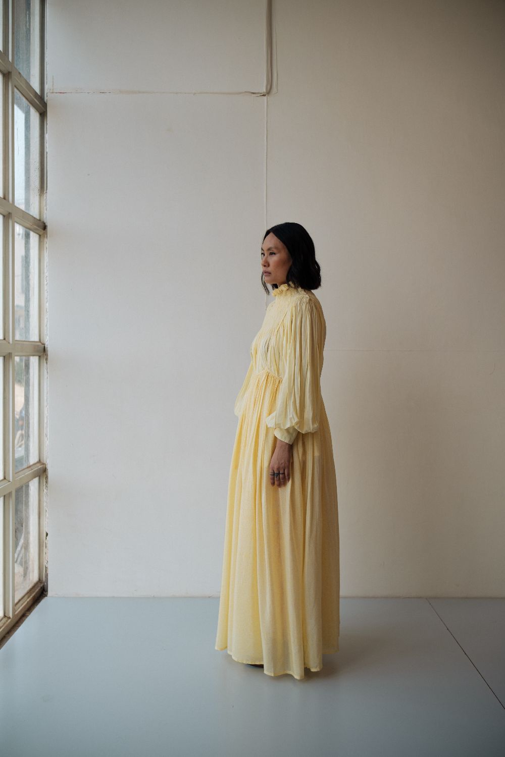 ASTER DRESS