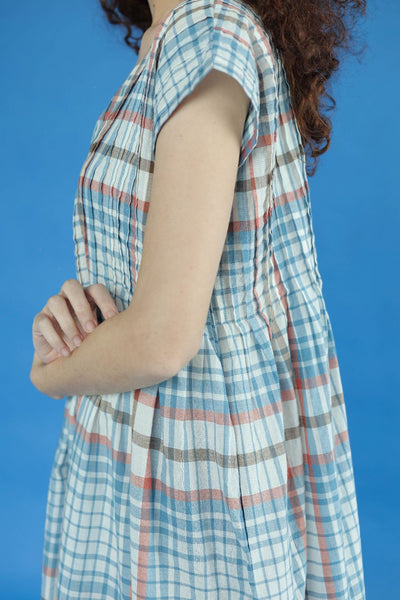 Darla Dress-Blue and white checks