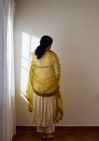 Nyla ivory kurta set