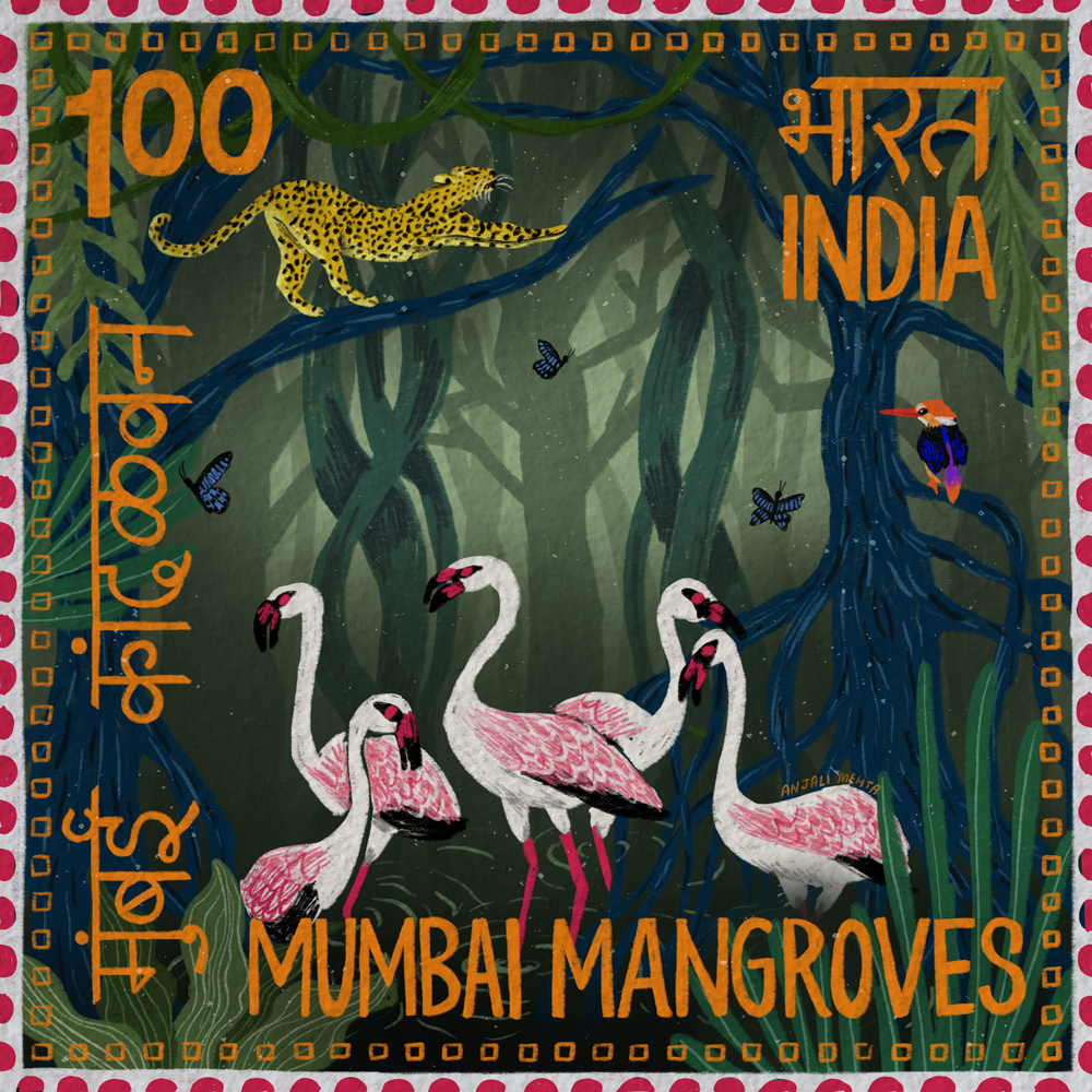 Mumbai mangroves