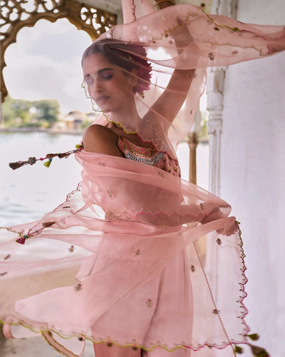 GUL NUDE PINK ORGANZA KURTA SET