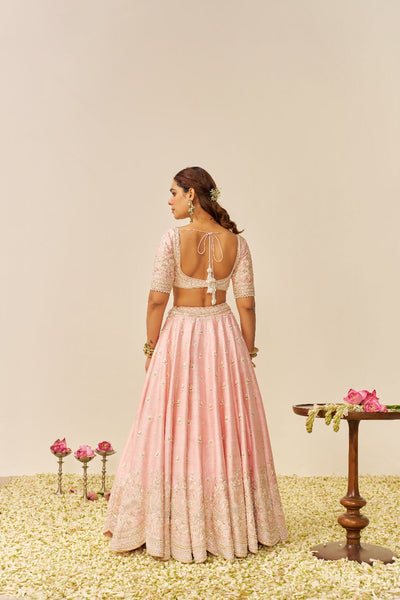 Fida - Lehenga With Blouse And Dupatta-Blush Pink