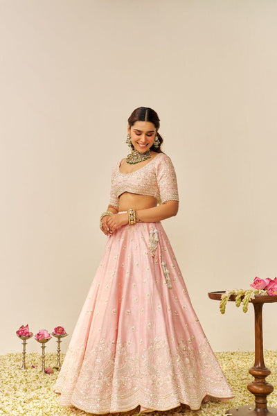 Fida - Lehenga With Blouse And Dupatta-Blush Pink