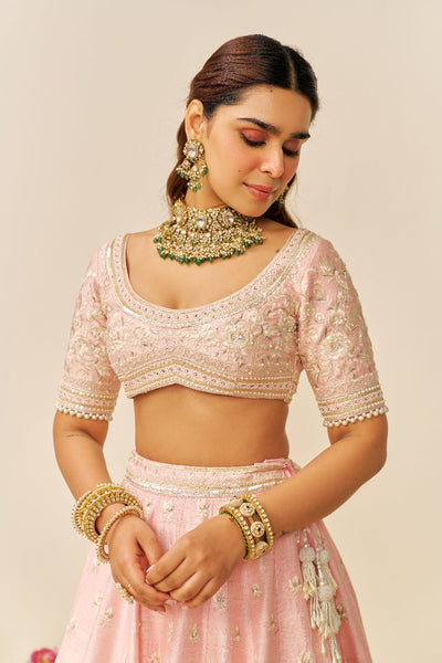 Fida - Lehenga With Blouse And Dupatta-Blush Pink