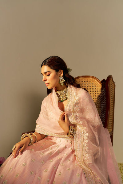Fida - Lehenga With Blouse And Dupatta-Blush Pink