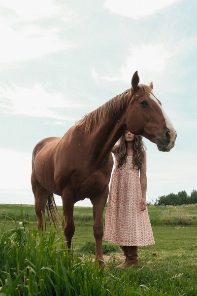 The Erica Dee dee SunDress
