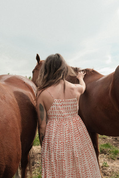 The Erica Dee dee SunDress