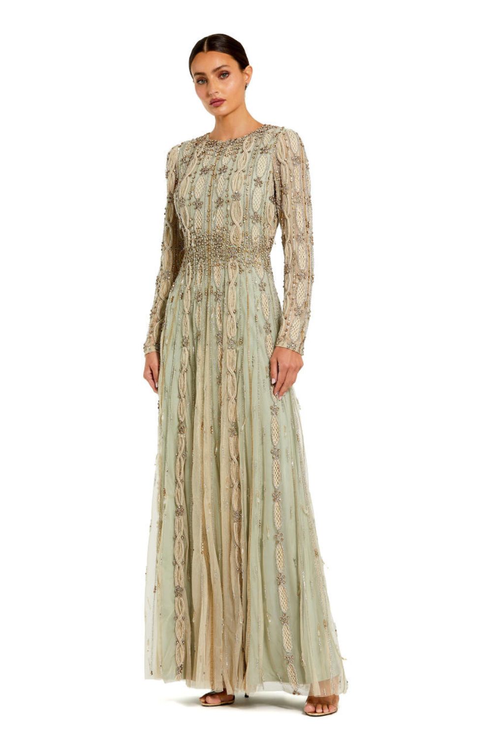 10077-Embellished Mesh Long Sleeve A Line Gown