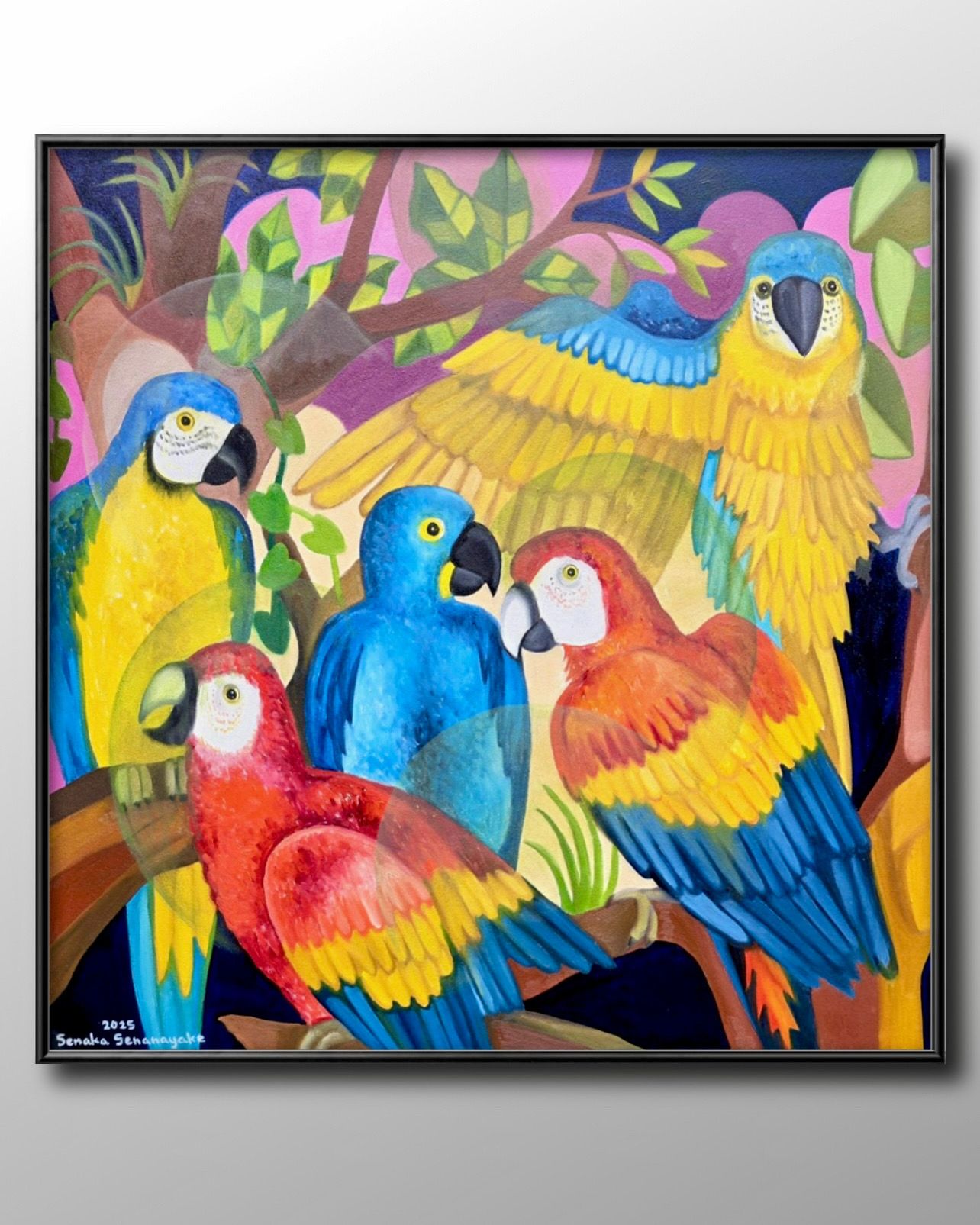 Macaws by Senaka Senanayke
