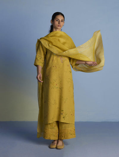 Para Hand-Embroidered Linen Kurta Set  - Ochre