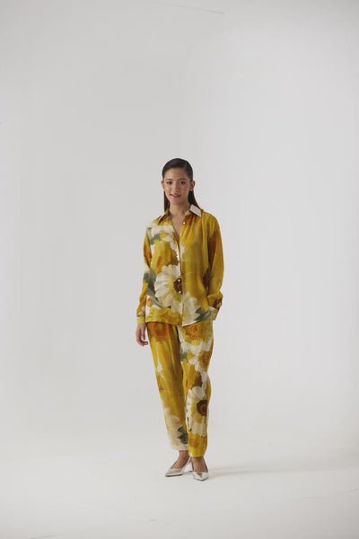MIMOSA CO-ORD