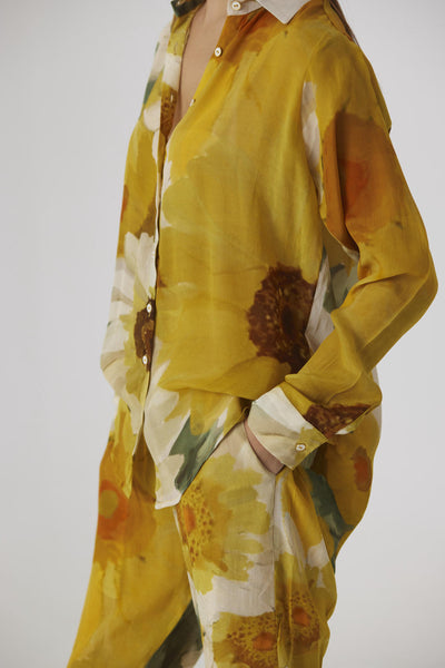 MIMOSA CO-ORD