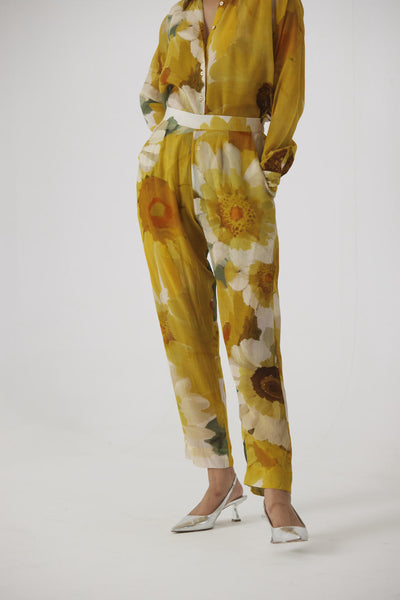 MIMOSA CO-ORD