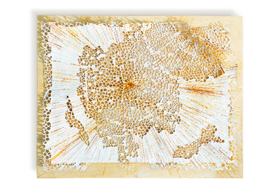 Entropy 2 ZCAAF22-019