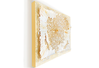 Entropy 2 ZCAAF22-019