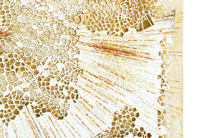 Entropy 2 ZCAAF22-019