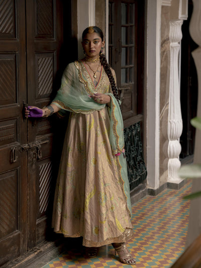 Fariba Nude Pink Printed Tissue Anarkali Set