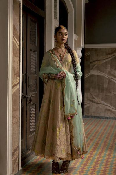 Fariba Nude Pink Printed Tissue Anarkali Set