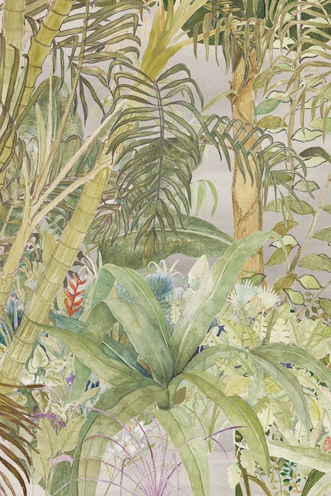 ARECA PALM | ART PRINT Art Tilla 