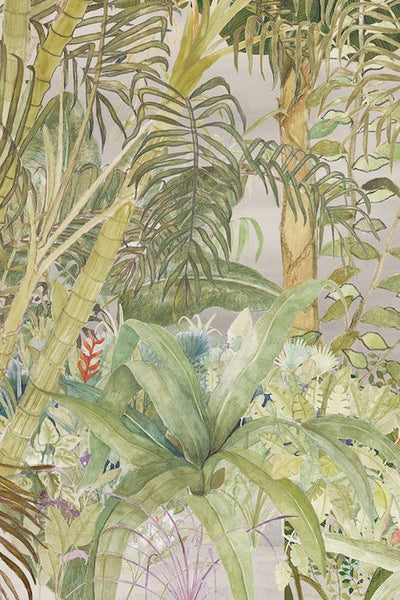 ARECA PALM | ART PRINT Art Tilla 