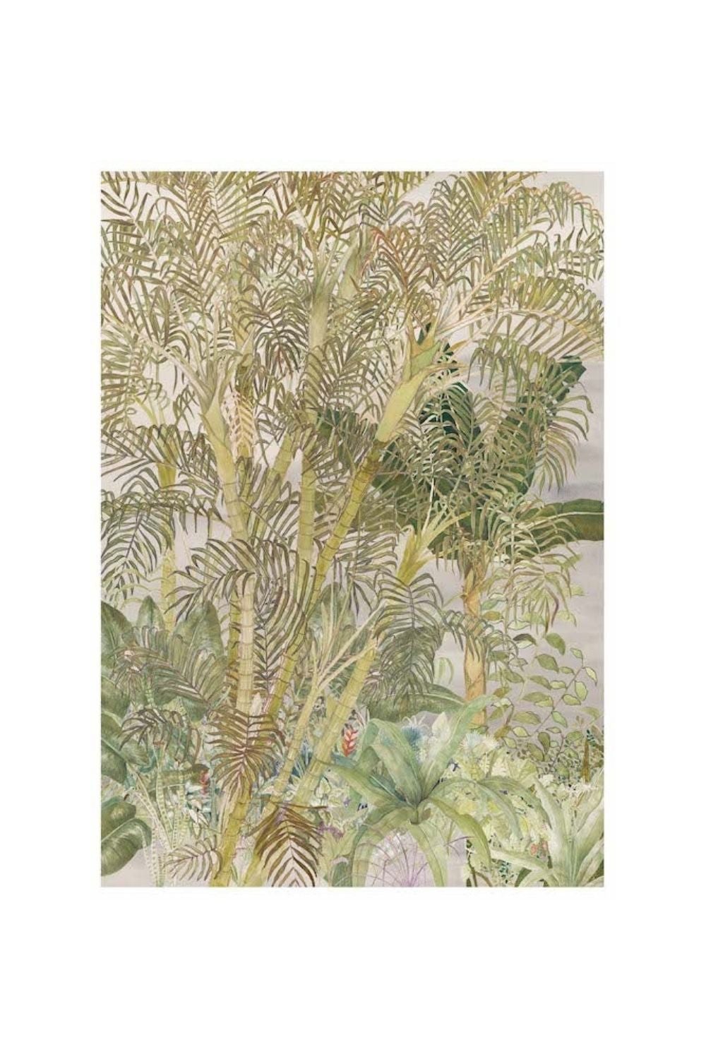 ARECA PALM | ART PRINT Art Tilla 