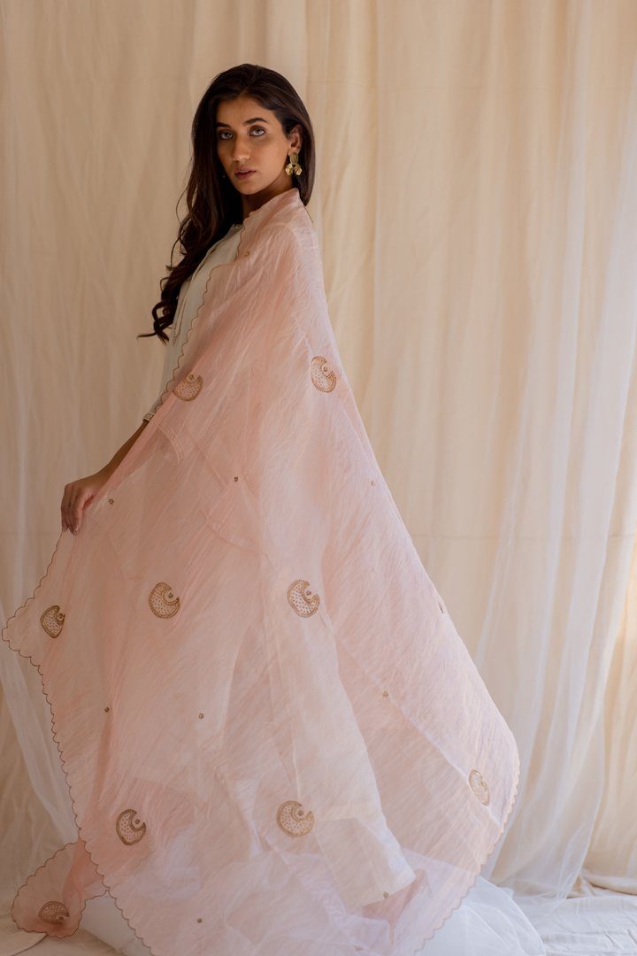 Baby Pink Chaand Odhani Fashion Nirjara