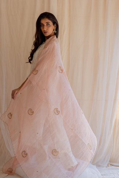 Baby Pink Chaand Odhani Fashion Nirjara