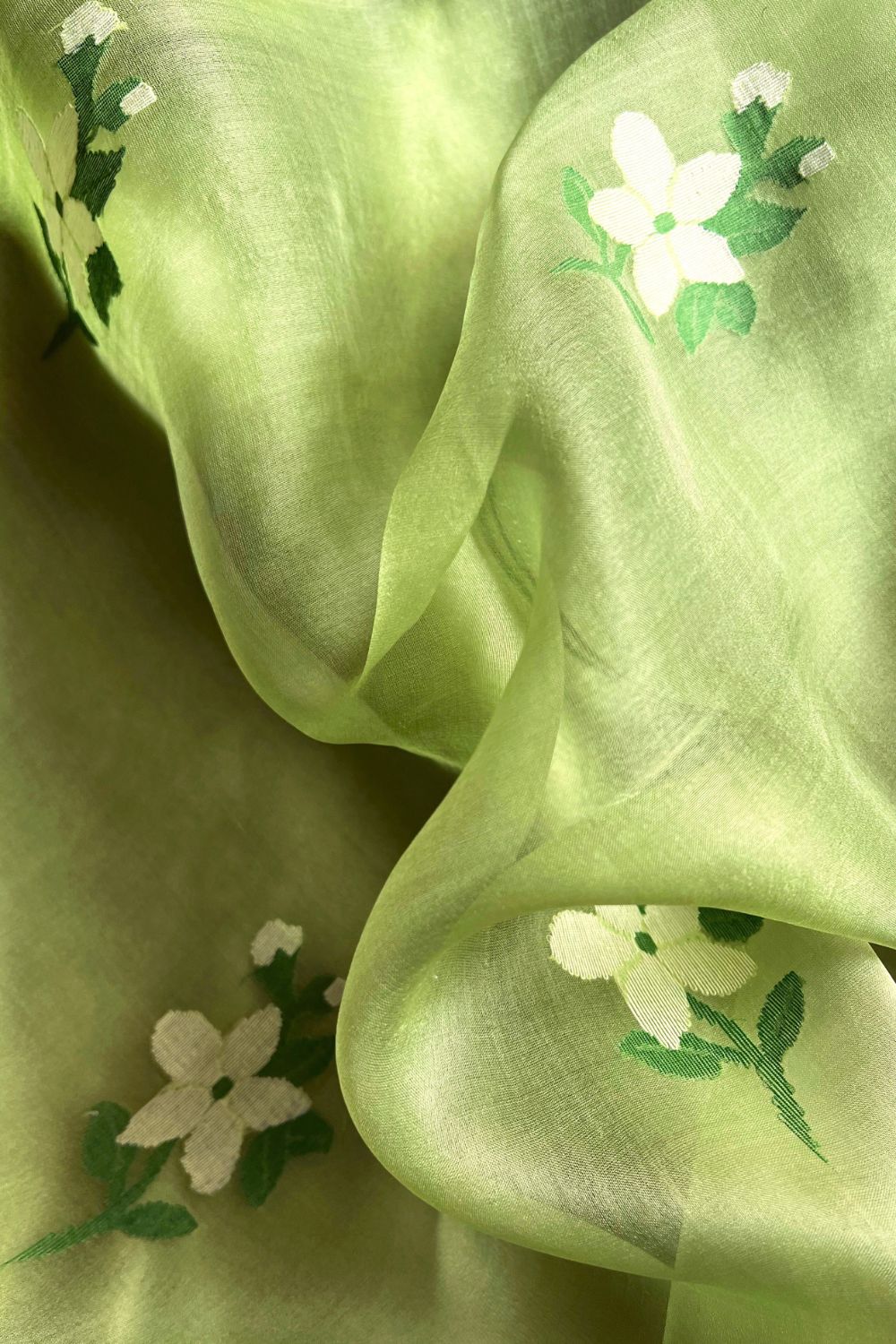 Chameli Sari Fashion Suparna Som