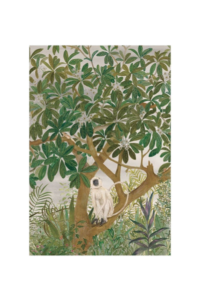 CHAMPA WITH LANGUR | ART PRINT Art Tilla 
