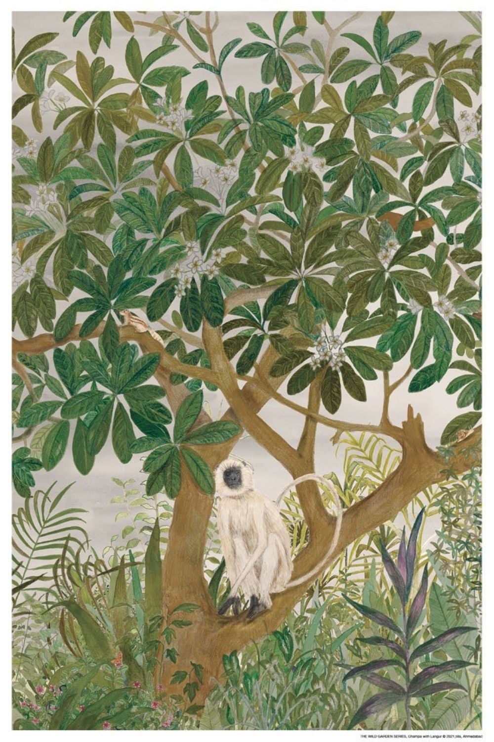 CHAMPA WITH LANGUR | ART PRINT Art Tilla 
