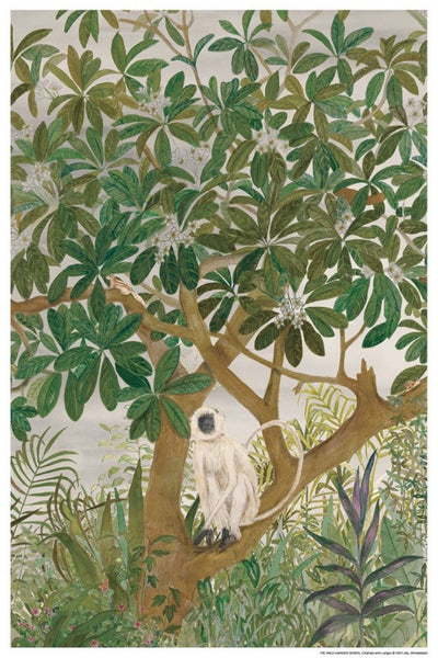 CHAMPA WITH LANGUR | ART PRINT Art Tilla 